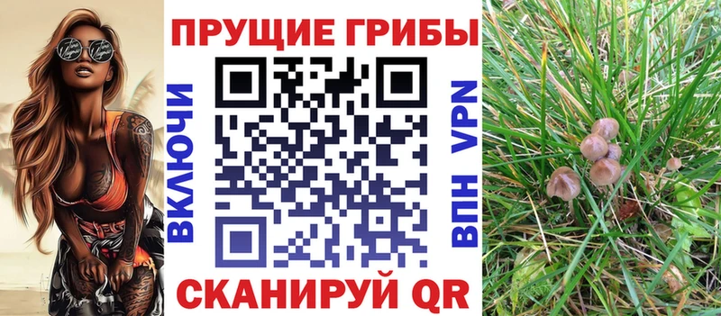 Галлюциногенные грибы MAGIC MUSHROOMS Гуково