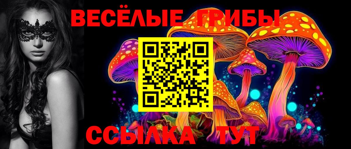 Галлюциногенные грибы Psilocybine cubensis  где купить   Гуково  Вход с VPN 