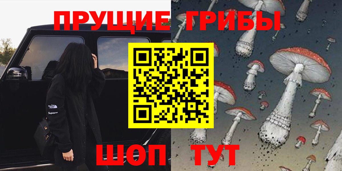 Псилоцибиновые грибы мицелий Гуково