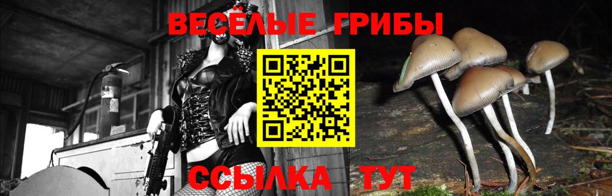 Псилоцибиновые грибы Magic Shrooms Гуково